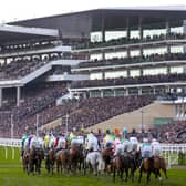 The Cheltenham Festival could be extended to five days from 2023.