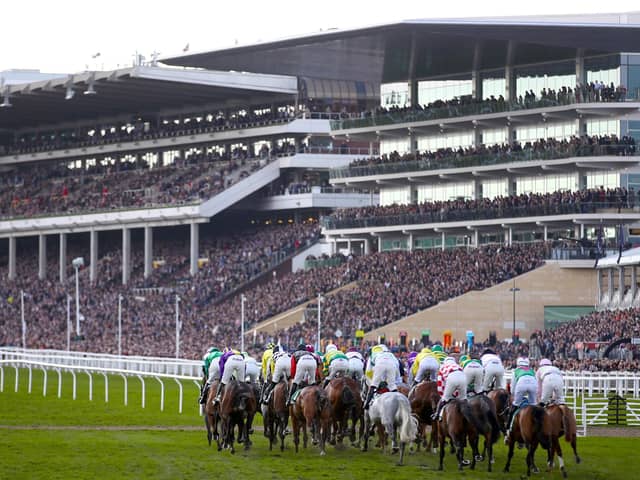 The Cheltenham Festival could be extended to five days from 2023.