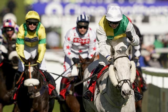 This was Vintage Clouds (right) winning at this year's Cheltenham Festival for Yorkshire racing legends Sue and harvey Smith, with Ryan Mania in the saddle.