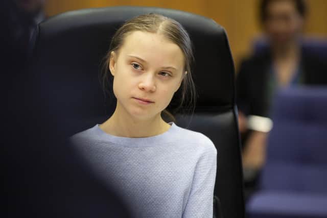 How can the Green Party best exploit the Greta Thunberg phenomenon?