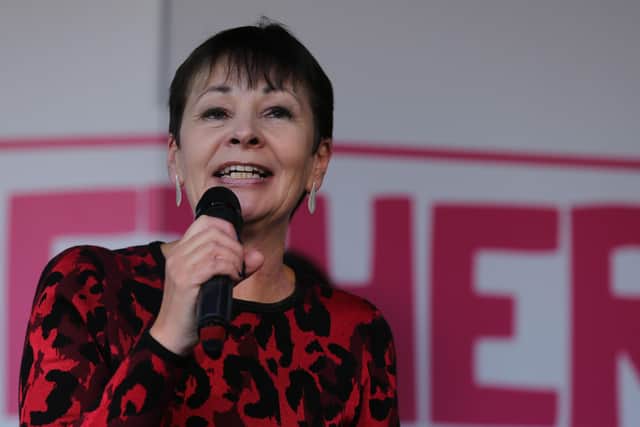Brighton's Caroline Lucas remains the Green Party's solitary MP.