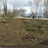 The scene after 40 trees in the woodland site were felled