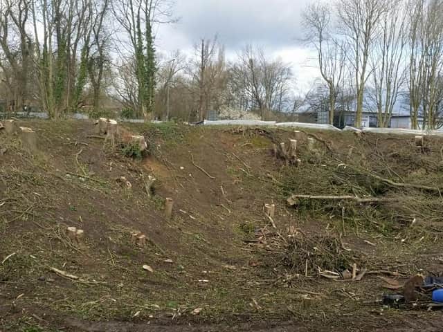 The scene after 40 trees in the woodland site were felled