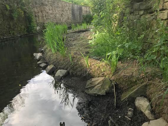 The Shipley stretch of Bradford Beck has been under improvement since 2018, with a range of measures to improve its natural ecology and improve habitats for wildlife.
Photo: Environment Agency