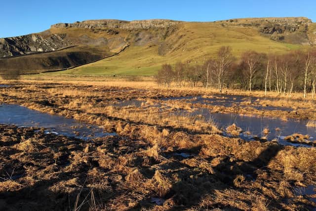 ‘Swarth Moor SSSI has been restored by being 're-wetted' as part of Stories in Stone project’