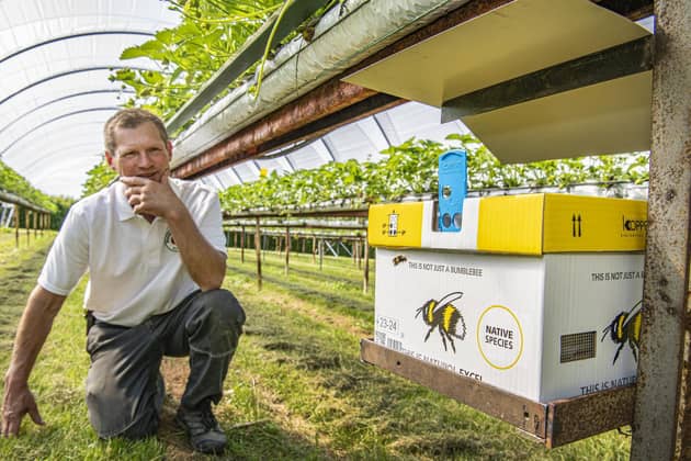 Chris Moorhouse orders bees in the post to pollinate his plants