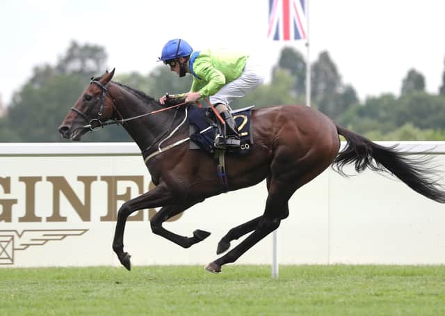 This was Joe Fanning and Subjectivist striding clear to win the Ascot Gold Cup at Royal Ascot last week.