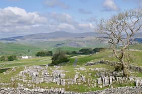 Ingleborough's natural landscape has suffered from intensive farming