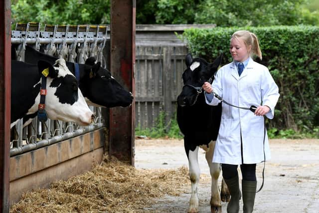 Students will learn about calf rearing, new technologies used in the cattle industry and beef finishing