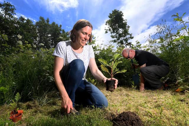 Pictured from left, Sarah Williams, an Energy and Environmental Projects Officer, at York St John University, alongside volunteer Charles Clarkson. The pair take part in 'vital' tansy plant planting - part of a habitat building project at the university to help preserve the endangered tansy beetle...29th June 2021..Photo credit: Simon Hulme/JPIMedia