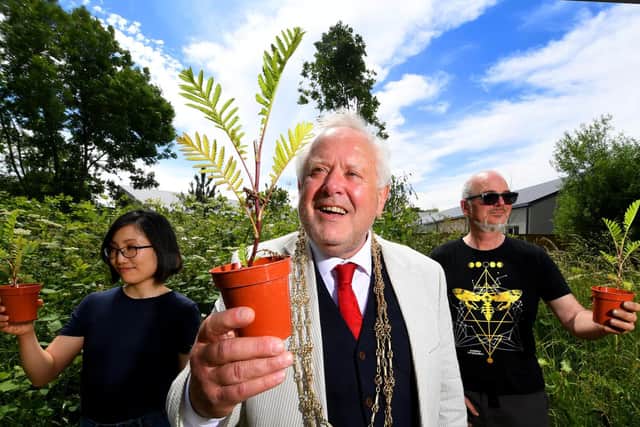 Pictured from the left are Yumino Simpson, Lord Mayor of York the RT Hon Christopher Cullwick and Charles Clarkson who took part in the planting yesterday of roughly 200 tansy plants...29th June 2021...Photo credit: Simon Hulme/JPIMedia