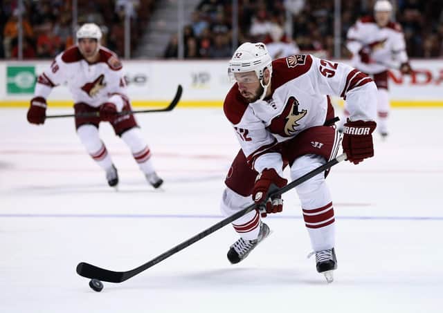 PLAY MAKER: Justin Hodgman, pictured in action for the Arizona Coyotes against the Anaheim Ducks, will join the Sheffield Steelers for the 2021-22 EIHL season. Picture: Jeff Gross/Getty Images.