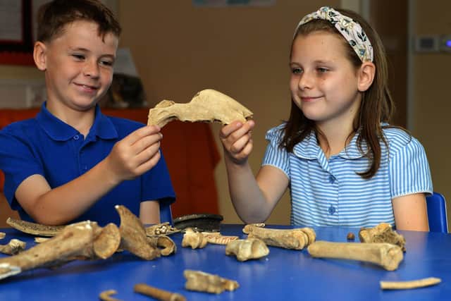 Children at Norton Community Primary School, near Malton, have created their own mini museum. Pictured Chester Driver and Fleur Jones looking at bones and pottery. Image: Jonathan Gawthorpe