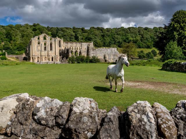 A horse trots in front of Rievaulx Abbey near Helmsley in the North York Moors National Park.