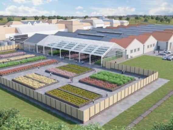 An artist's impression of how the garden centre will look