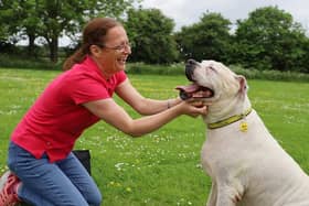 Dogs Trust Leeds' Sue and Major.
