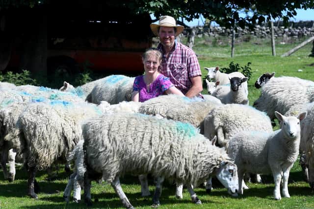 They are restricting sheep numbers but looking into biodiversity schemes