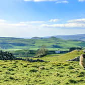In a challenge to agricultural leaders and government policy-makers, Chris Clark argues that too many farmers are "allowing their business to be driven by farming, rather than the business driving the farm". Adobe stock pic