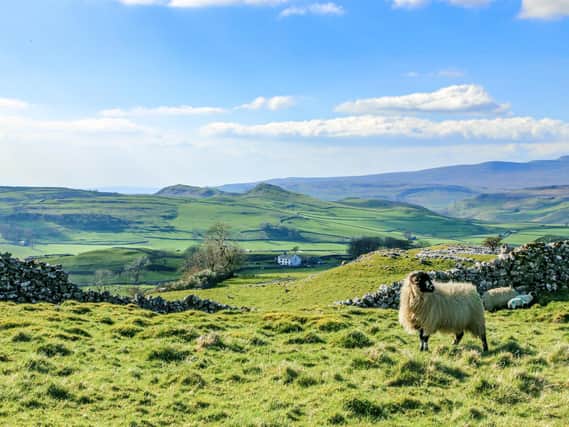 The Yorkshire Dales is one of the most beautiful parts of the world, meaning new housing needs to be done in a sensitive way. Picture: Škeneaster/Adobe Stock