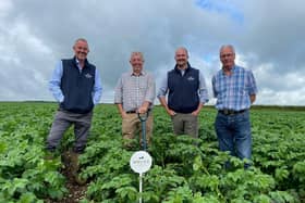 seed investment: Graham Bennett, seed director of Wolds Produce and seed managers Stuart Fox, Andrew Johnston and Bill Quarrie.