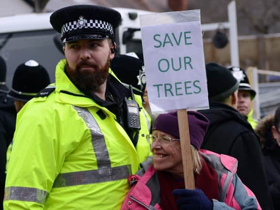 A protester and a police officer at a Sheffield tree-felling site in 2018. Picture: Scott Merrylees