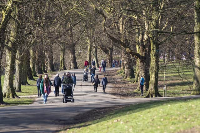 Planting one tree on an urban street could provide a return of thousands over 50 years, say researchers. Pictured is Roundhay park, Leeds