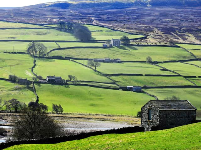 A view of Swaledale on the outskirts of Reeth. The dale is home to some of the remotest communities in the country, presenting challenges to provide a collective voice to drive forward the recommendations of the North Yorkshire Rural Commission. (Photo: Gary Longbottom)