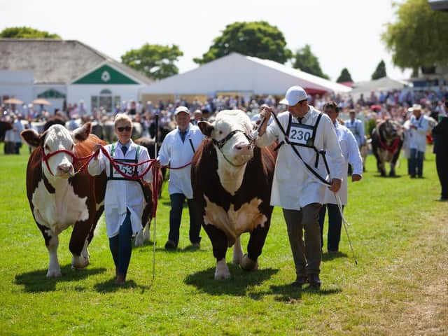 The Grand Cattle Parade in the Main Ring of the Great Yorkshire Show is set to be one of the highlights of this year's show, which begins on Tuesday next week and runs for four days for the first time in its history. (Photo: Yorkshire Agricultural Society)