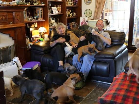 Lynn Everett with her husband and some of the 41 dogs they owned in 2015