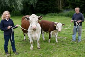 Eddie and Christine breed Hereford cattle on their smallholding in Barwick-in-Elmet