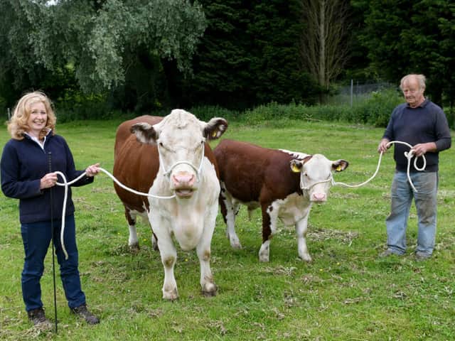 Eddie and Christine breed Hereford cattle on their smallholding in Barwick-in-Elmet