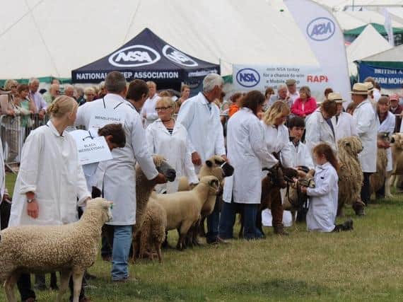 The York RBST Support Group, along with the Dales group are celebrating 45 years at the Great Yorkshire Show