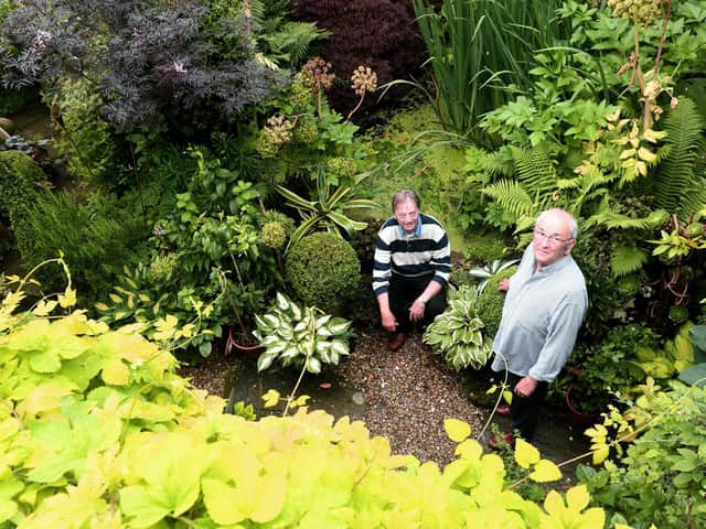 The garden was a "blank canvas" when the couple bought Cobble Cottage