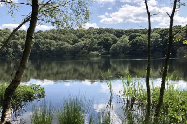 Gormire Lake and the surrounding woodland area is up for sale