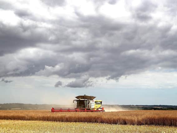 A combine harvester harvesting a rapeseed field. Picture: Gareth Fuller/PA Wire.