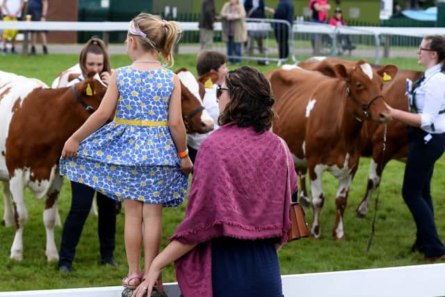 A Mother and Daughter watch the Dairy Shorthorn parade. Writer: Simon Hulme
