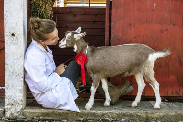 Laura Ketley with her award winning Pure Toggenburg kid goat.. Picture Tony Johnson