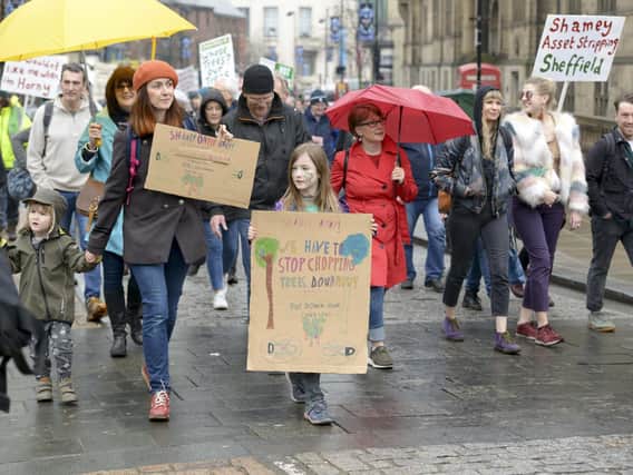 There were repeated protests against the council's tree-felling programme. Picture: Dean Atkins