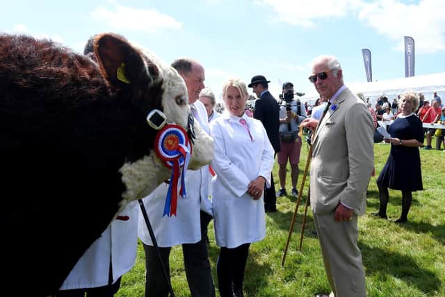 Prince Charles on the cattle lines. Picture: Simon Hulme
