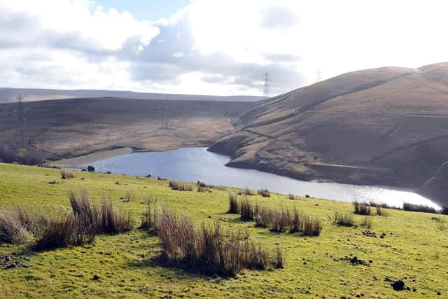 Gorpley reservoir near Todmorden, where Yorkshire Water is looking to plant more trees to reduce flood risk across the Calder Valley