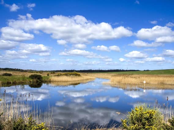 St Aidan’s, owned and run by the RSPB, is a popular wild swimming spot although there are no lifeguards manning the area.
Photo: SWNS/Ross Parry