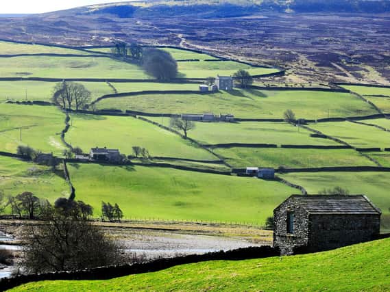 Swaledale in the Yorkshire Dales National Park is famous for attracting visitors from across the world. However, tourism leaders from Welcome to Yorkshire have launched a new scheme involving high-profile ambassadors to attract an increasingly diverse range of visitors to the region. (Picture: Gary Longbottom)