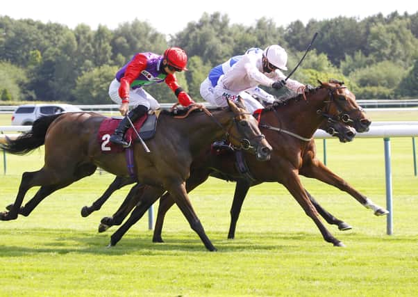 Staying at home: Strait Of Hormuz [pale colours] wins at Haydock last season. Trainer Jedd O'Keefe is looking at races in Yorkshire for his horse after a good run int he John Smith's Cup. (Photo by Steve Davies/Pool via Getty Images)