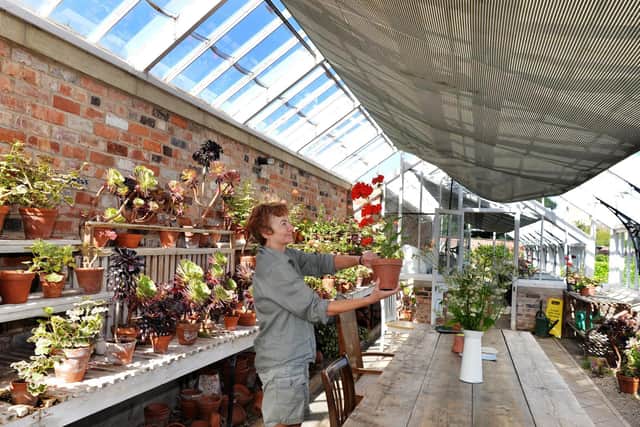 Volunteers currently work inside the glasshouse, but it is unheated and in a basic condition