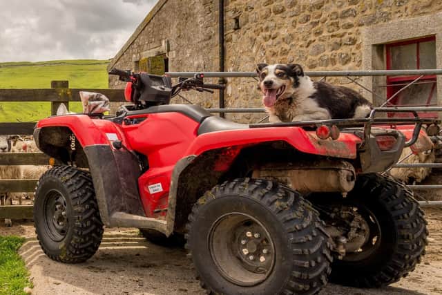 Quad bikes are often used on farms to aid with transport. But a Bradford MP has said in the Commons this week that residents in the city are 'plagued' by the four-wheeled vehicles not being driven responsibly on roads. Photo credit: stock.adobe