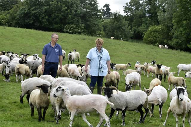 David and Sheena are now keen sheep breeders and also run a poultry operation