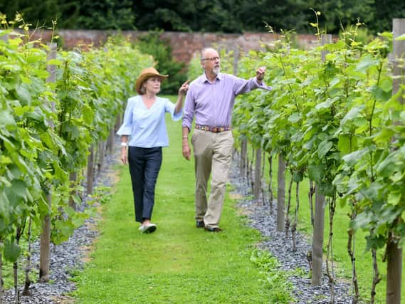 The Fitzalan-Howards own the walled vineyard at Carlton Towers, near Selby