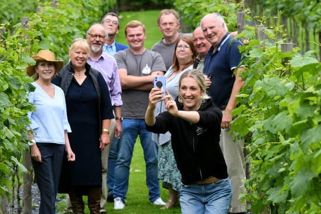 Six vineyards are working together to promote the Yorkshire Wine Trail