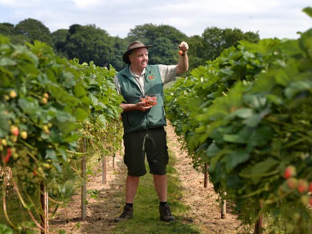 Rory Kemp, owner of Kemp Farms in Horsforth. Picture : Jonathan Gawthorpe
