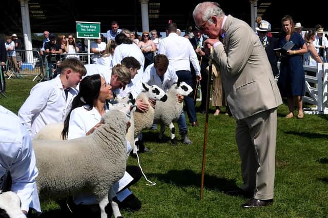 This was the Prince of Wales at last week's Great Yorkshire Show.